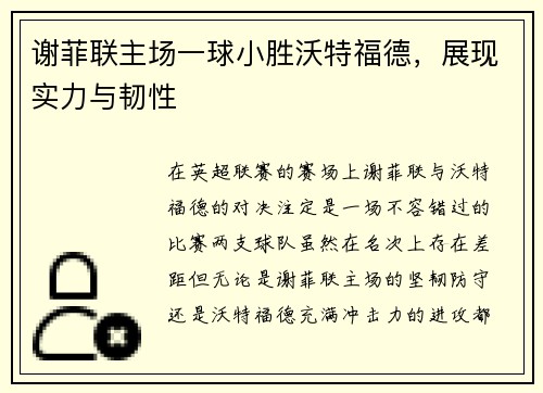 谢菲联主场一球小胜沃特福德，展现实力与韧性