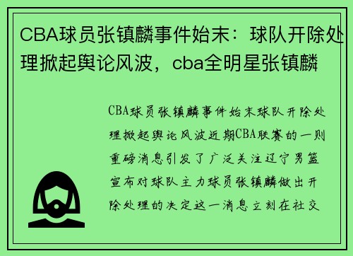 CBA球员张镇麟事件始末：球队开除处理掀起舆论风波，cba全明星张镇麟