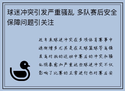 球迷冲突引发严重骚乱 多队赛后安全保障问题引关注