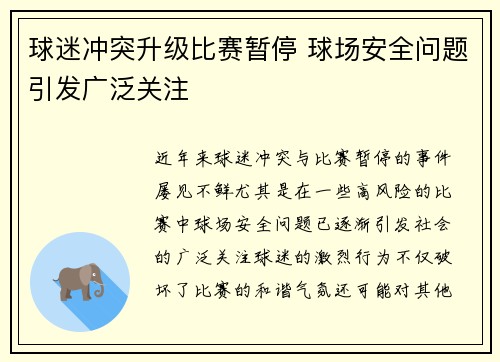 球迷冲突升级比赛暂停 球场安全问题引发广泛关注