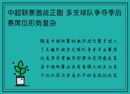 中超联赛激战正酣 多支球队争夺季后赛席位形势复杂